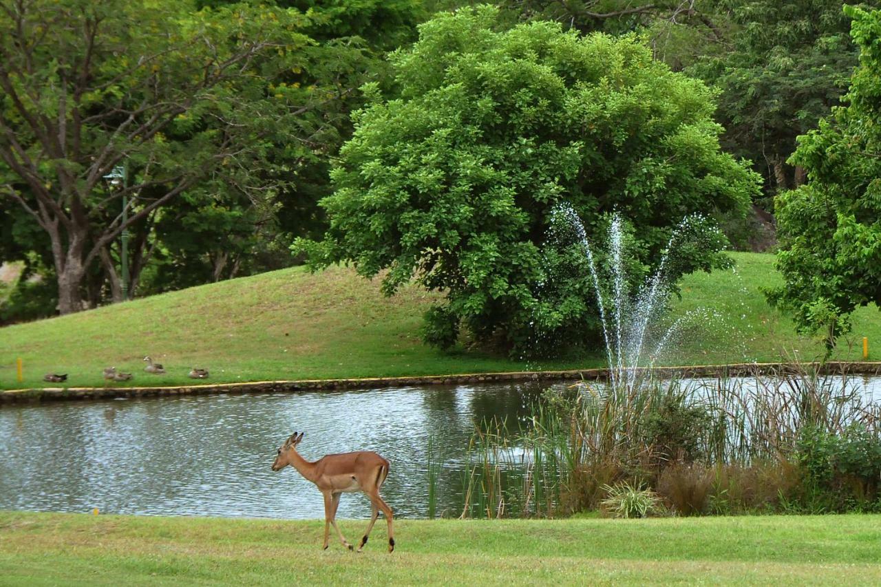 האזיביו Kruger Park Lodge Unit No. 543 מראה חיצוני תמונה